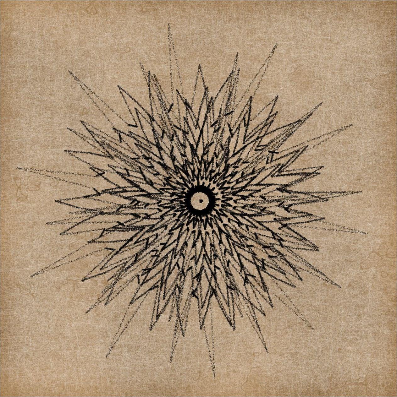 Concentric Drawing by Emily Xie